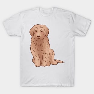 Golden Doodle art T-Shirt